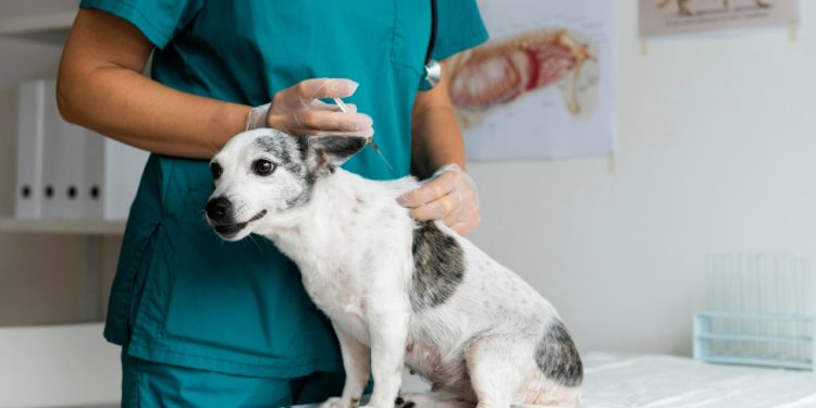 Anchieta: Raiva animal é tema de palestra para agricultores, pecuaristas e trabalhadores rurais