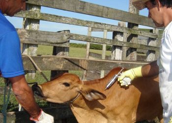 Anchieta: Raiva animal é tema de palestra para agricultores, pecuaristas e trabalhadores rurais