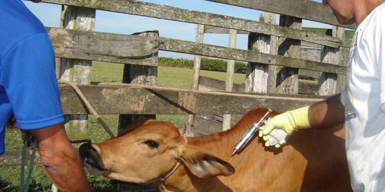 Anchieta: Raiva animal é tema de palestra para agricultores, pecuaristas e trabalhadores rurais