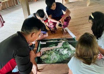 Brasil: Tecnologia melhora monitoramento de terras indígenas