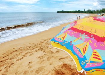 Turismo: MTur oferece curso gratuito sobre Turismo Responsável