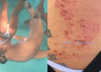 Mundo: Mulher é atacada por tubarão durante ensaio fotográfico