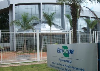Brasil: Embrapa chega aos 50 anos com foco em segurança alimentar e agropecuária