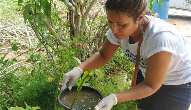 Alfredo Chaves: Saúde alerta para a circulação da Dengue tipo 2 no município