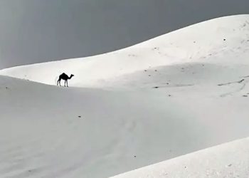 Mundo: Tempestade de granizo e neve na Arábia Saudita