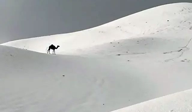 Mundo: Tempestade de granizo e neve na Arábia Saudita