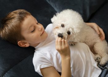 Saúde: Convívio com cães pode ser bom no tratamento de crianças autistas