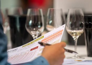 Brasil: Vinhos nacionais premiados com ouro e prata em competição na França