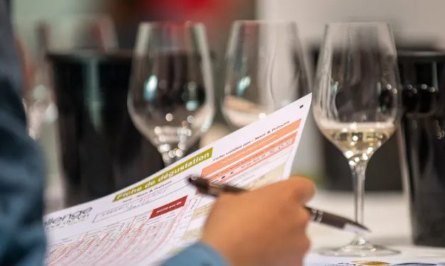 Brasil: Vinhos nacionais premiados com ouro e prata em competição na França