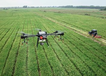 Brasil: Tecnologia de ponta impulsiona o agronegócio