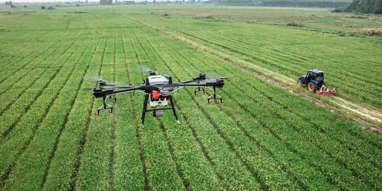 Brasil: Tecnologia de ponta impulsiona o agronegócio