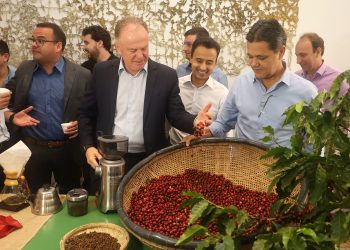 Estado: Governo lança Programa de Desenvolvimento Sustentável da Cafeicultura do Espírito Santo