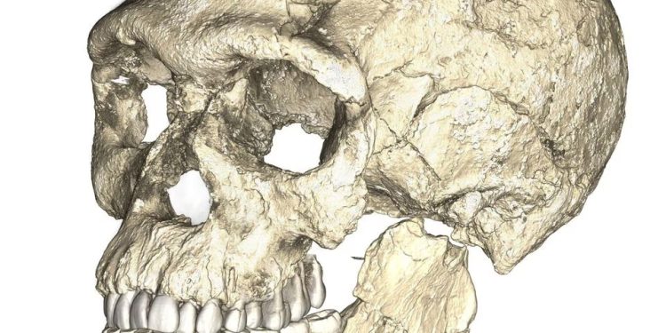Mundo: Dados do genoma lançam luz sobre como o Homo sapiens surgiu na África