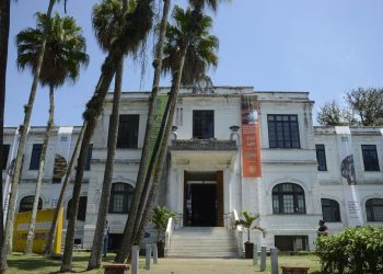 Brasil: Jardim Botânico lançará planos para proteger flora de duas regiões