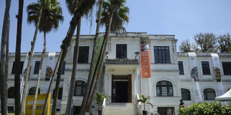 Brasil: Jardim Botânico lançará planos para proteger flora de duas regiões