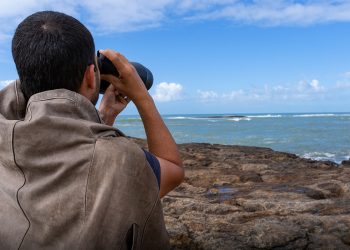 Marataízes:  Prefeitura realiza ações de monitoramento de aves marinhas em ilhas do município