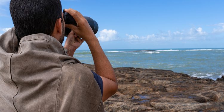 Marataízes:  Prefeitura realiza ações de monitoramento de aves marinhas em ilhas do município
