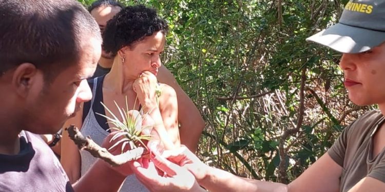 Estado: Trilha Cidadã permite que pessoas cegas conheçam o Parque Estadual Paulo César Vinha