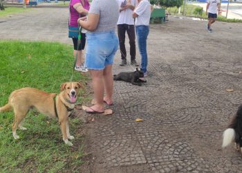 Vitória: Tutores de animais recebem orientações em Santo Antônio