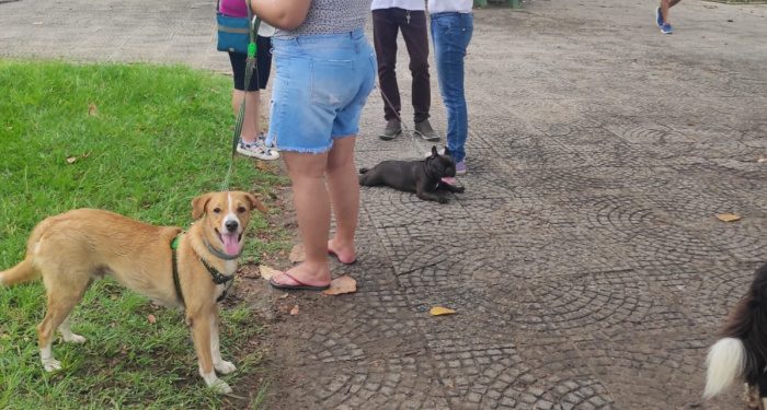 Vitória: Tutores de animais recebem orientações em Santo Antônio
