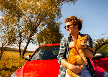 Viagem: Destinos para ir com seu bichinho de estimação