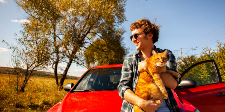 Viagem: Destinos para ir com seu bichinho de estimação