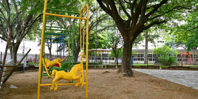 Vitória: Parques da capital terão novos brinquedos acessíveis
