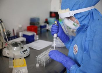 Brasil: País tem quatro casos suspeitos de infecção por Gripe Aviária em humanos
