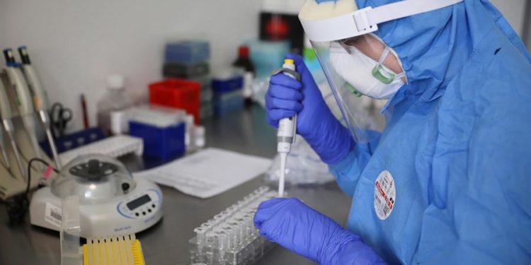 Brasil: País tem quatro casos suspeitos de infecção por Gripe Aviária em humanos