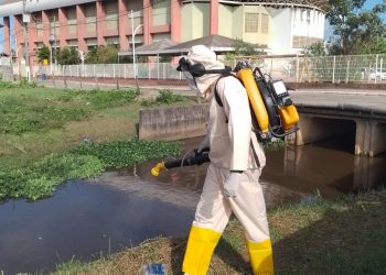 Anchieta: Micro-organismo ajuda a combater a Dengue