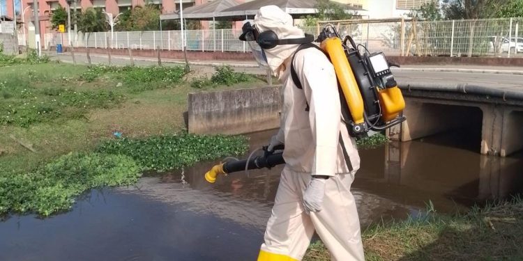Anchieta: Micro-organismo ajuda a combater a Dengue