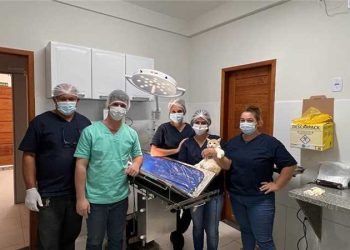 Alfredo Chaves: Prefeitura inicia projeto de castração gratuito a cães e gatos