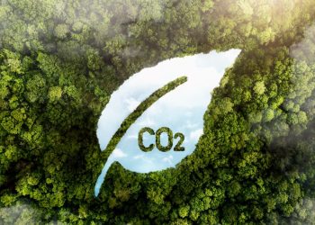 Estado: Fórum Capixaba de Mudanças Climáticas aprova Plano de Descarbonização