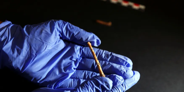 Mundo: Flautas pré-históricas feitas com ossos de pássaro encontradas por arqueólogos em Israel