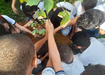 Guarapari: Prefeitura faz ação de plantio de mudas em Escola Municipal