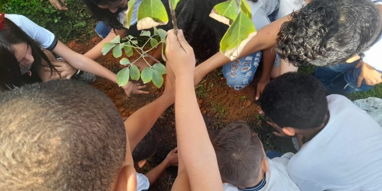 Guarapari: Prefeitura faz ação de plantio de mudas em Escola Municipal