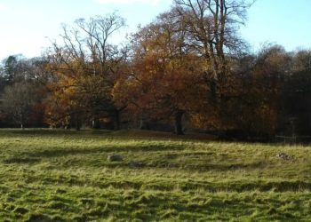 Mundo: DNA de 4 mil anos desvenda os segredos da praga bacteriana