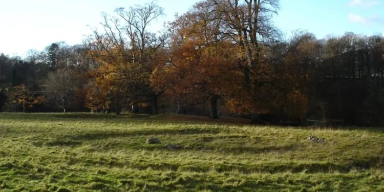 Mundo: DNA de 4 mil anos desvenda os segredos da praga bacteriana