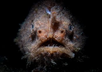 Submarino desaparecido: Pesquisas e riscos das explorações sobre as profundezas do oceano