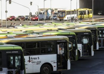 Brasil: Exame toxicológico para motoristas de ônibus será obrigatório