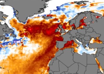 Mundo: Atlântico Norte passa por onda de calor marinha “totalmente sem precedentes”