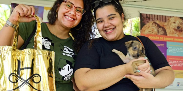 Vitória: Evento de adoção de animais “Adote um Amigo” fez sucesso na Praia da Guarderia