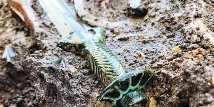 Mundo: Espada milenar encontrada na Alemanha muito bem preservada