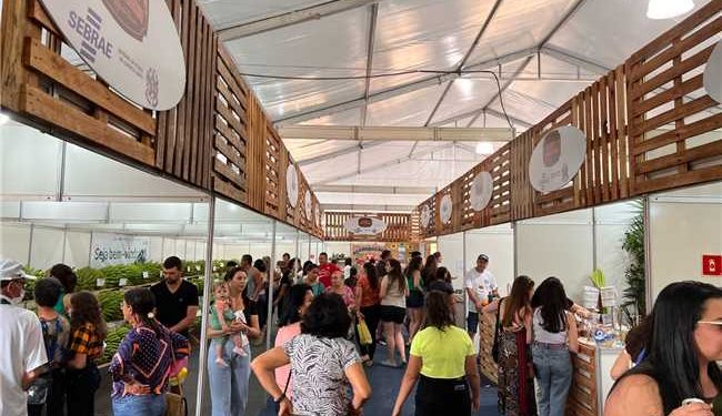 Alfredo Chaves: Feira do Agronegócio da Festa da Banana e do leite garante fomento das potencialidades da região