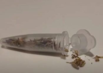 São Paulo: Prefeitura investiga a morte de sete pessoas por intoxicação da droga K9