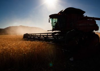 Brasil: Governo Federal faz ajustes em programas de concessão de crédito rural
