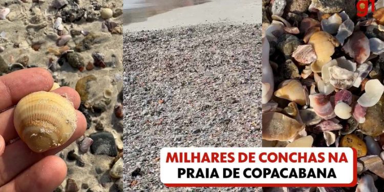 Meio Ambiente: Milhares de conchas aparecem na Praia de Copacabana