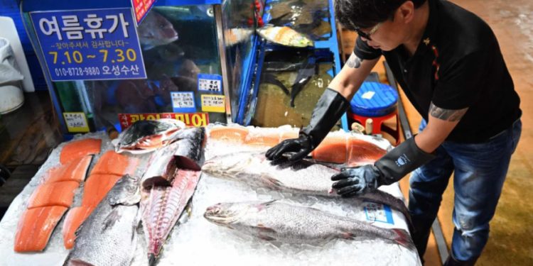 Mundo: Coreanos estocam sal e peixes antes da liberação de água radioativa no oceano pelo Japão