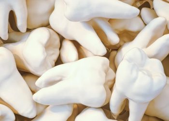 Mundo: Remédio para nascimento de novos dentes terá testes em humanos