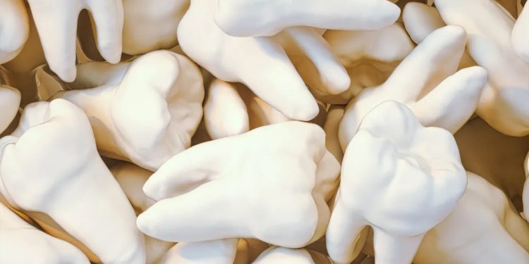 Mundo: Remédio para nascimento de novos dentes terá testes em humanos
